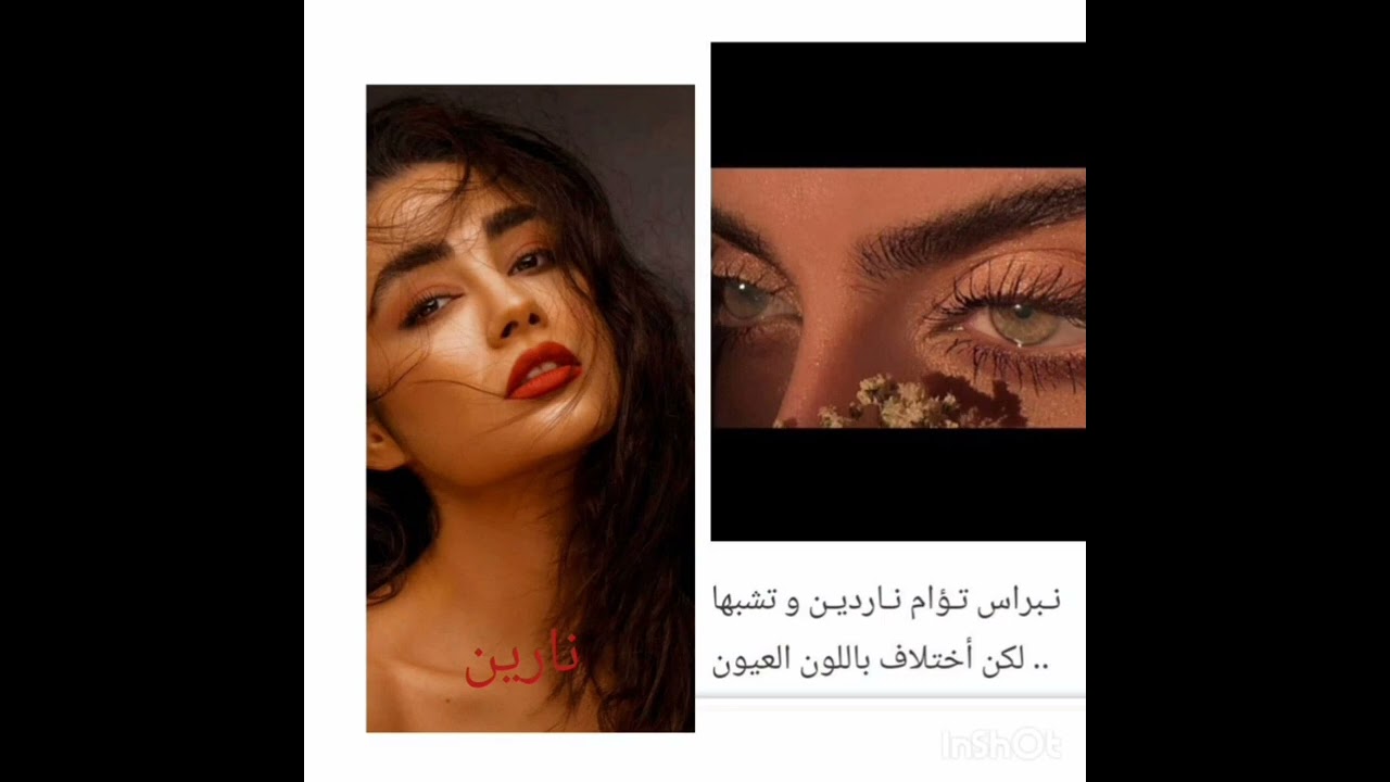 #نارا_حيدره 1 💚🕊️ بصوتي 💚🕊️