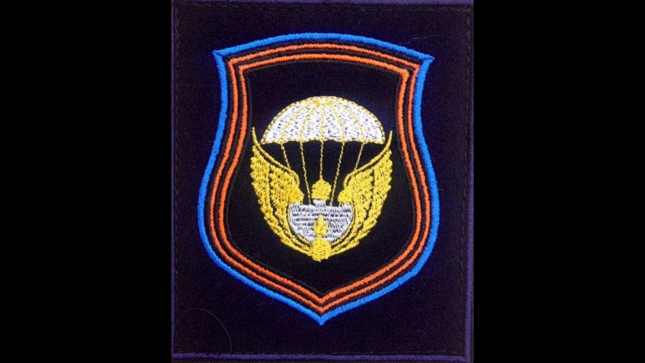106 воздушно-десантная дивизия ВДВ шеврон в/ч 55599 Тула Рязань Наро ...