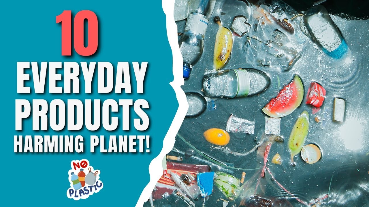 10 Easy Eco Friendly Habits You Can Start Today!