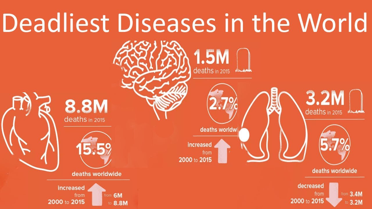 Top 10 diseases causing the most deaths worldwide YouTube