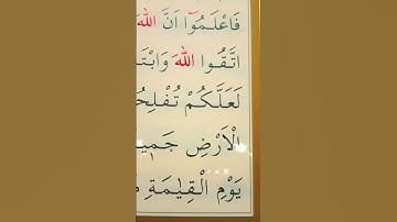 سورة المائدة الأية 35 إلى 36 القارئ سعد الغامدي