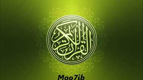 سورة الزمر   عامر الكاظمي