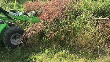 Avant 745 Loader with hydraulic pallet fork grab