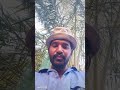العيشه جباره العيشه جباره