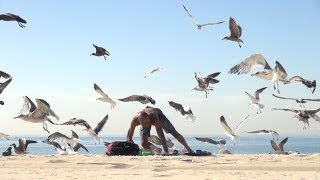 Crazy Bird Prank!!