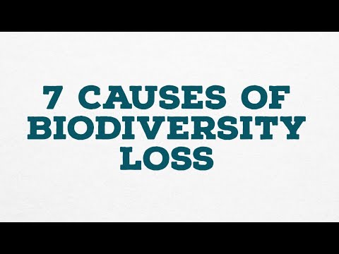 7 CAUSES OF