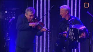 Four Men and a Dog | Beo | FleadhTV  2019| Trad TG4