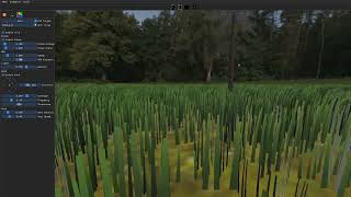 Foliage Wind Test Wealth