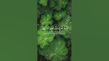 سورة آل عمران الآية: ١٨٥/Āli'Imrān: 185