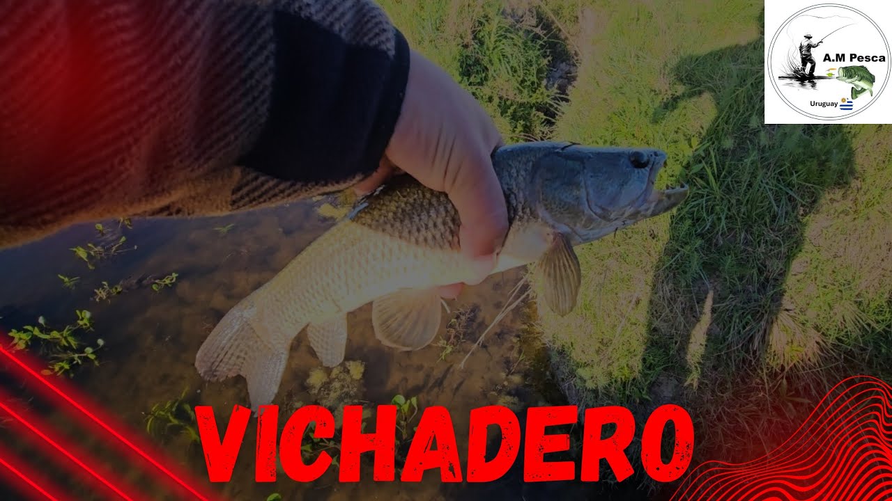 Pesca Flash por Vichadero 