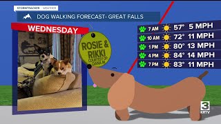 Dog-walking forecast (June 18, 2025)