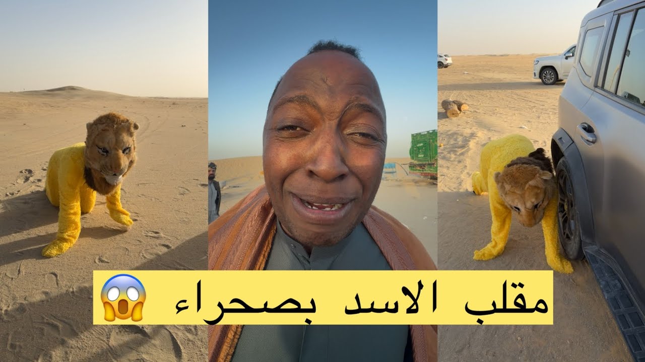 زوين جايب الاسد بالخيمه شوفو شصار 😱😱