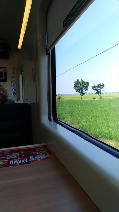 Aku Ingin Pulang - Ebiet G Ade - Argo Dwipangga #ebiet #pulang #kereta #shorts