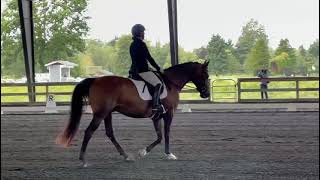 Frodo Third level test 2 BCDC