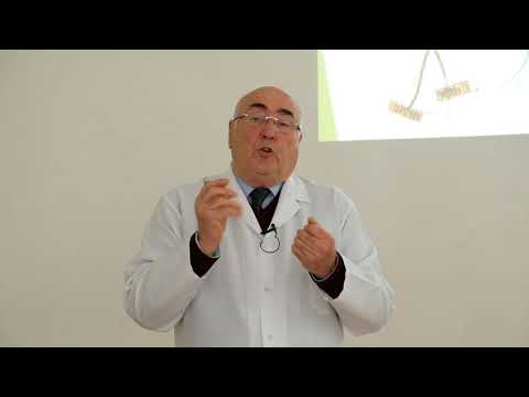 ზურგის ტვინის აღნაგობა