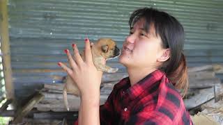 A New Hope II ( rescuing puppies ) - Pokhara