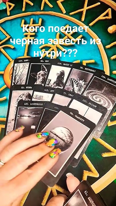 #sorts #тарогадание #кагопоедаетзависть??? - YouTube