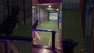 CRICKET SIMULATOR