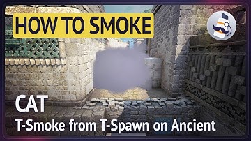 ☁️ How to smoke Cat on Ancient T-Side [CS:GO]