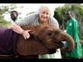 Africa's Elephant Queen | Kenya