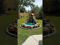 Watch This Boring Yard Turn Into a Dream Pond #BeforeAndAfter #Shorts