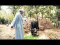 جديد شوفوا الحاج الضوى عمل ايه في عبدالناصر بعد ما نجح فى الانتخابات