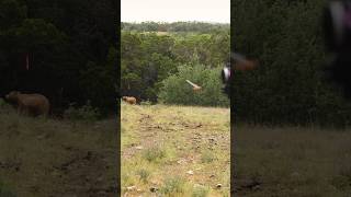 2024 TEXAS Total Archery Challenge Jack Links Course | Tejas Hunt Club