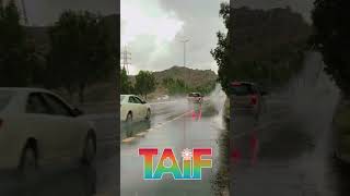 #امطار و#اجواء #الطايف الشفا  غاية في الروعة والجمال ماشاءالله تبارك الله ⛈☔️😍❤️#الصيفية #اجازه