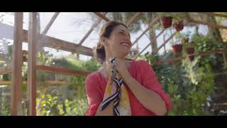 Cdananha Maxmat 25 Anos