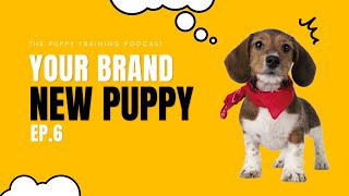 Your Brand New Puppy by BAXTER & Bella The Online Puppy School! 2,099 views 9 months ago 40 minutes