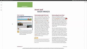 Cafescribe Speech Glitch