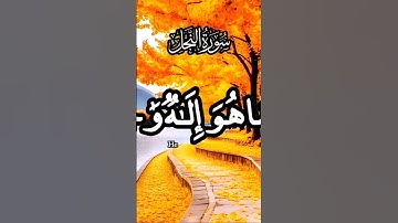 #القارئ خالد الجليل