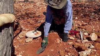 Moneybox - April Prospecting Trip 2026