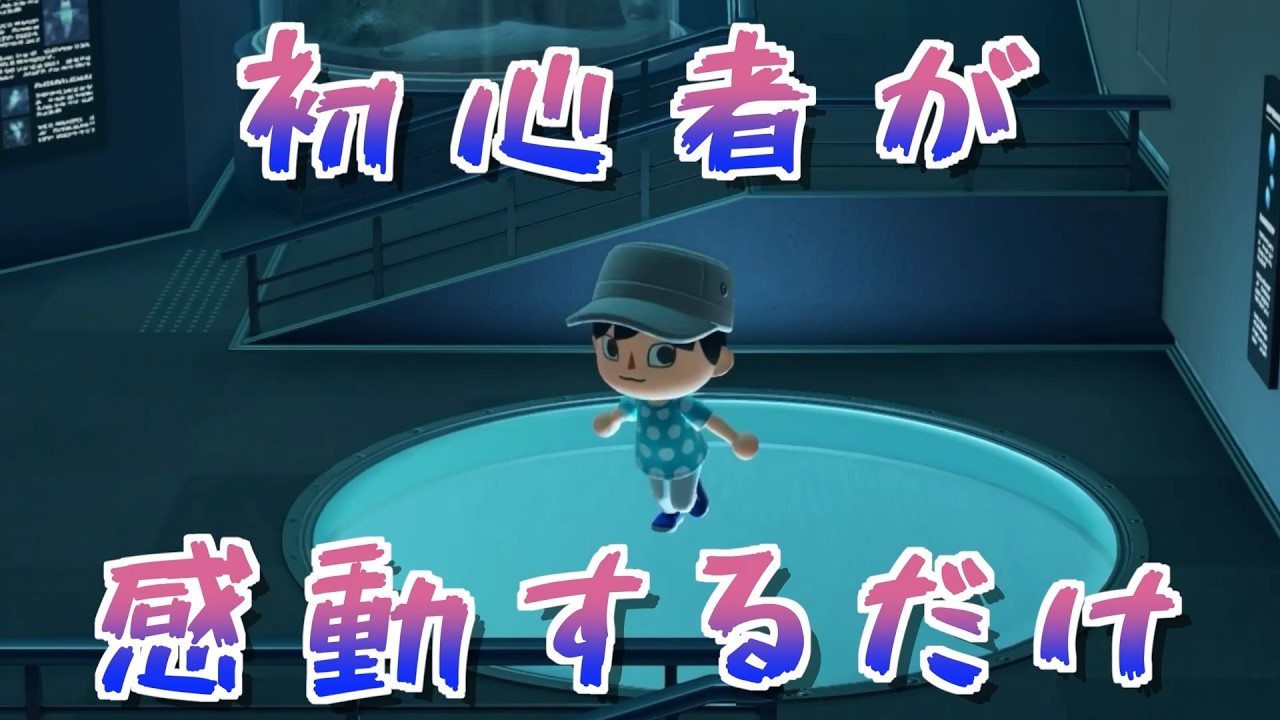 【#9】初の博物館！！　あつまれどうぶつの森