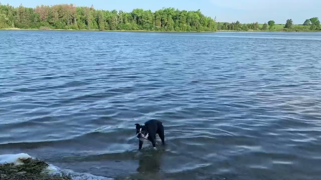 Island Lake Conservation Area Orangeville Ontario | SkiHikeTravel