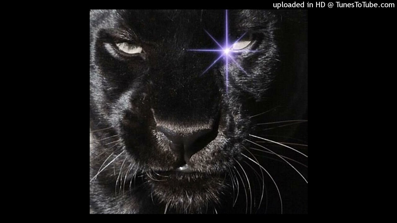 ·:*free*:· drux + pradaaslife type beat | prod. alex catton + arrant