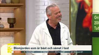 Test Av Blomjord På Tv4 Nyhetsmorgon