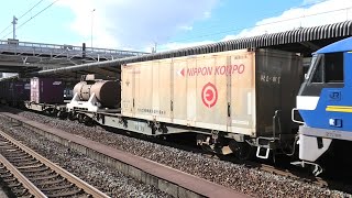 EF210-354代走 1071レ 熱田駅通過