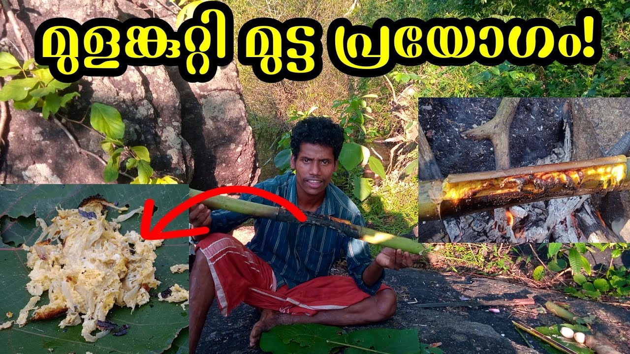 മുട്ട മുളയിൽ ചുട്ടത്..|Bamboo egg recipe 