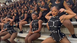 ASU Stingettes “Writing On The Wall” TROY ‘26 ✨🐝 Guide