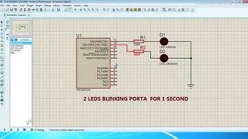 pic16f676 2 leds blinking