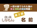 #保護猫 #しなもん #実話物語 第2話『名前』～野良猫から家猫へ！子猫の成長記録ムービー～