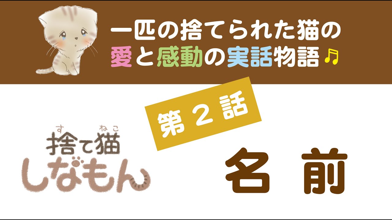 捨て猫しなもん 第2話 名前 猫 ミニムービー 保護猫 野良猫 捨て猫 捨て猫しなもん ねこ 子猫 Youtube