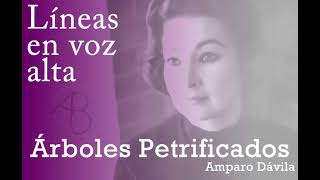 ÁRBOLES PETRIFICADOS - Amparo DAVILA (Audiocuento) - Líneas en voz alta -  YouTube