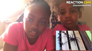 Try Not To Look Away (MONSTER BUG WARS Edition) – REACTION.CAM