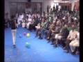 Ypfdj conference in rome performance eritrea