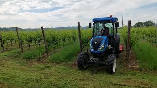 TRINCIATURA erba vigneto con New Holland T4.100F e trincia Meritano 195cm. #asmr #farming