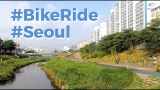 Bike ride in Seoul on a sunny day