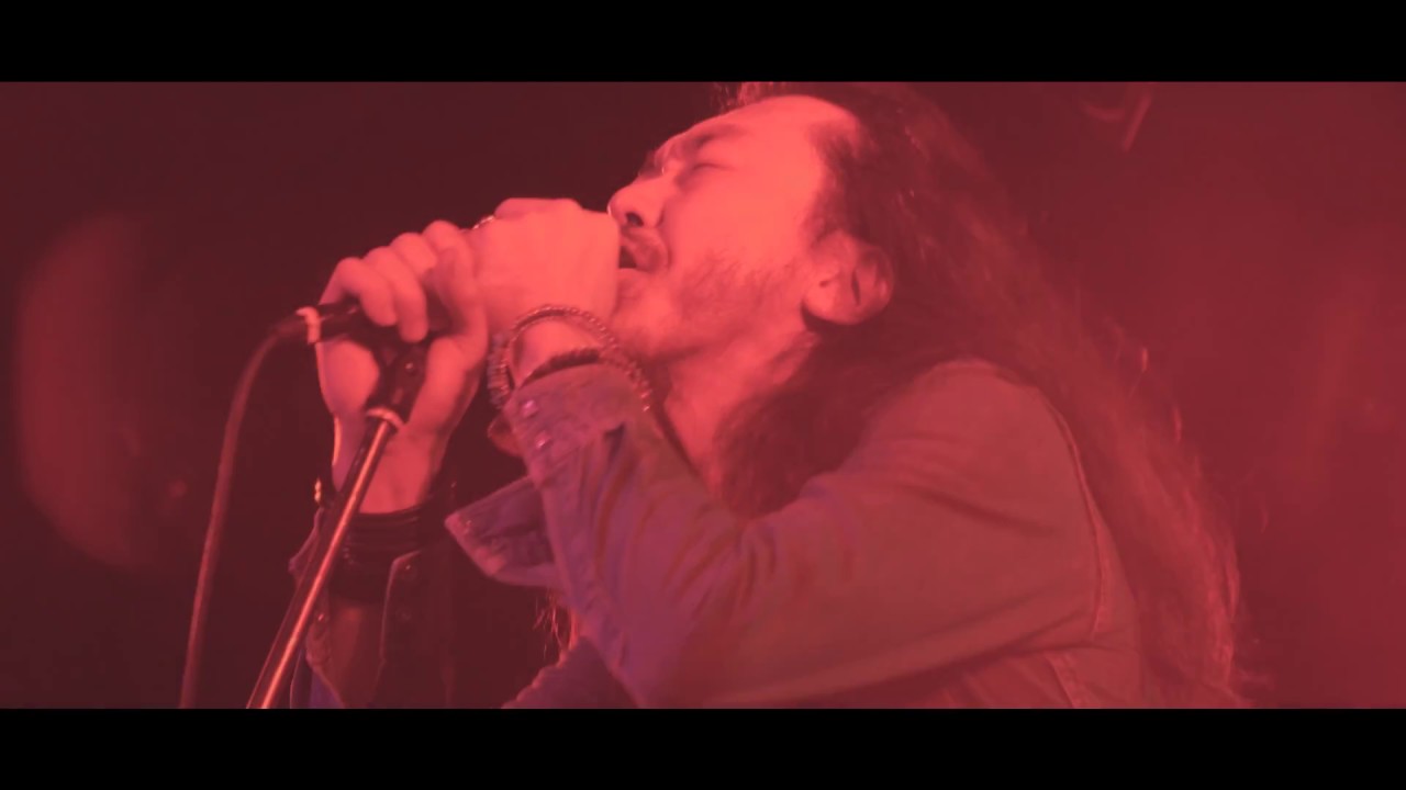 Nepenthes 2nd album "Confusion" trailer