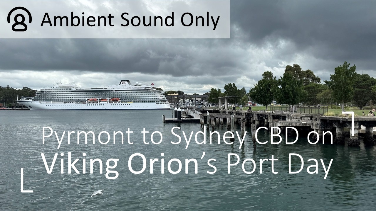 Explore Pyrmont to Sydney City Aus on Viking Orion's Port Day (Ambient Sound Only) | 4K Walking Tour